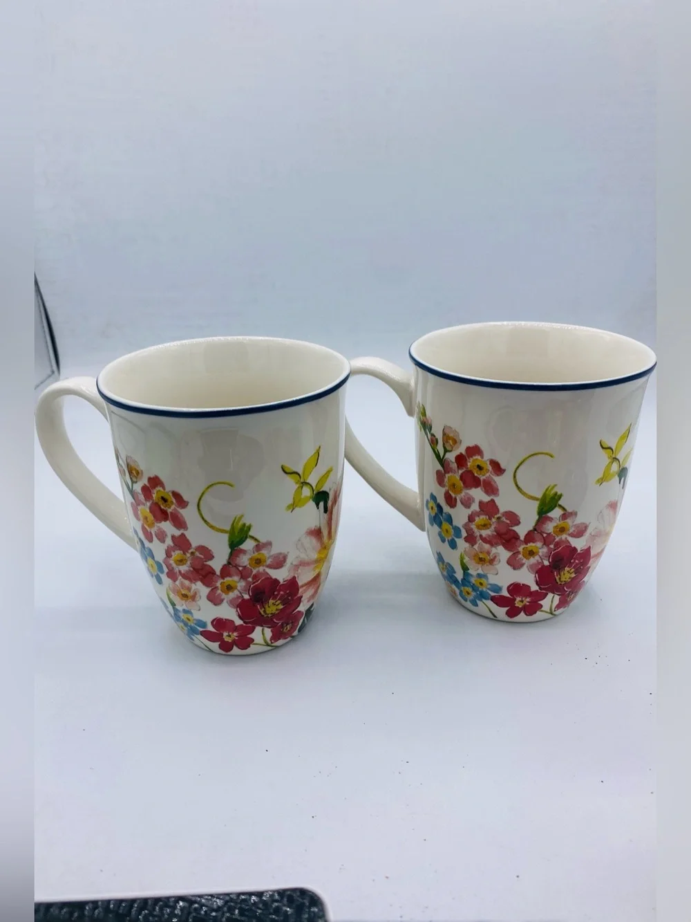 Pottery Barn China Floral Rim Collection Set of 2 Discontinued
